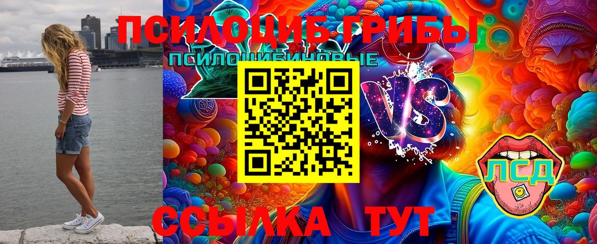 Псилоцибиновые грибы Psilocybine cubensis Вязьма