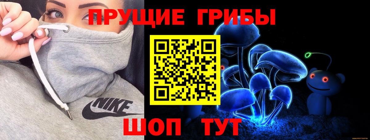 Псилоцибиновые грибы Cubensis  Псилоцибиновые грибы мицелий  Вход с VPN  Вязьма 